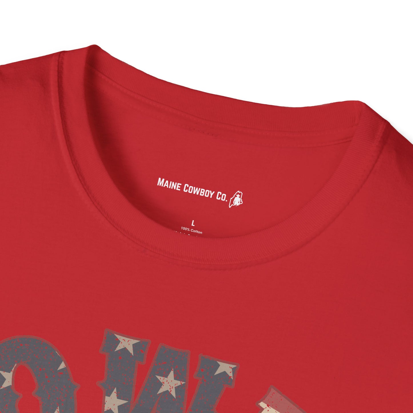 Howdy Graphic Unisex T-Shirt | Perfect for Casual Days, Gift for Rodeo Fans, Country Music Lovers, 4th of July, Summertime Style