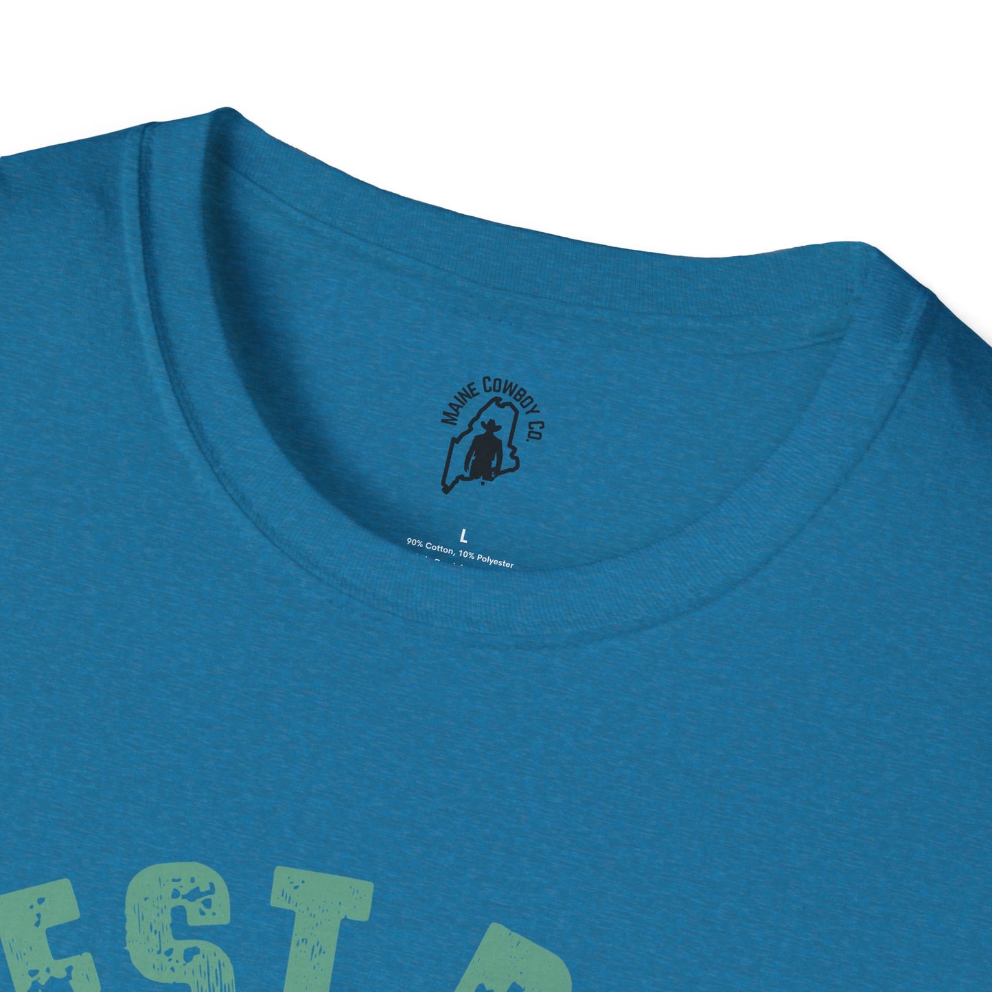 Softstyle Dad And Kid T-Shirt