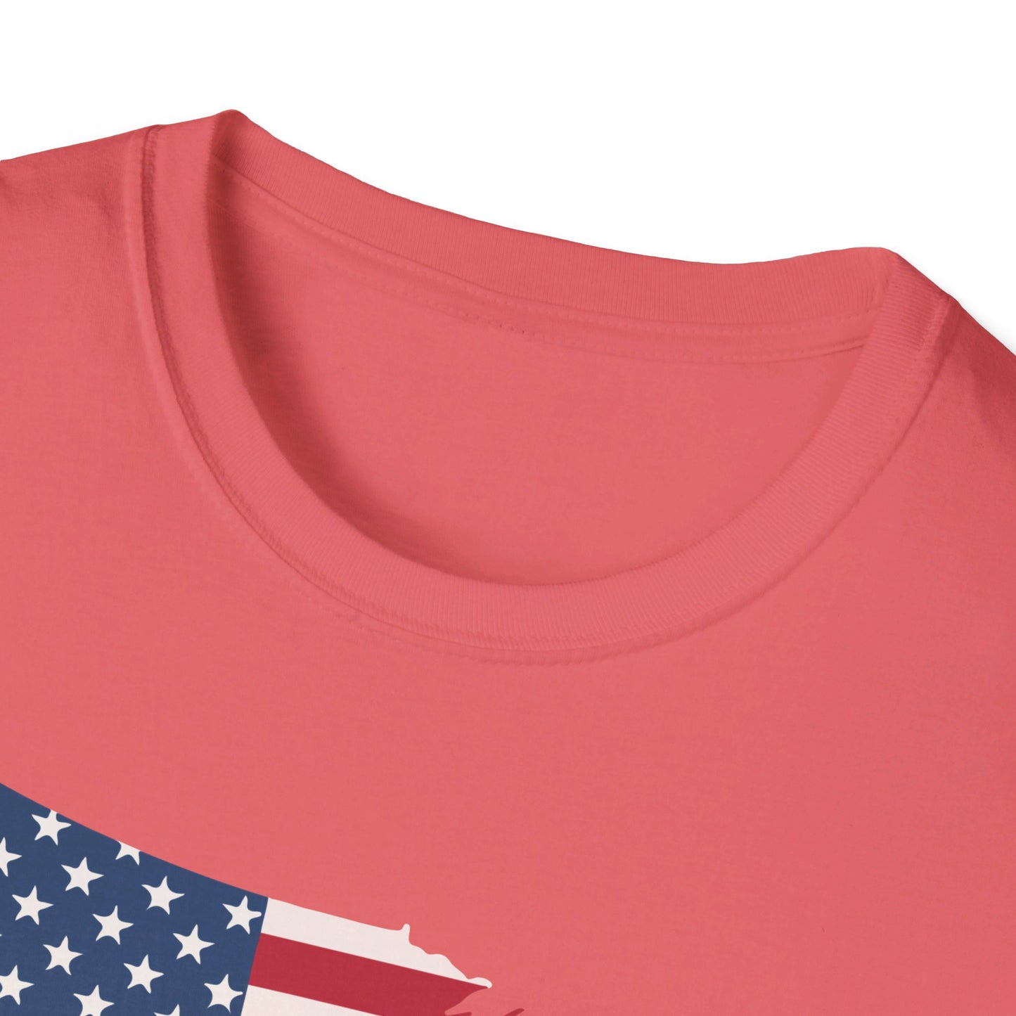 Softstyle United States Flag T-Shirt