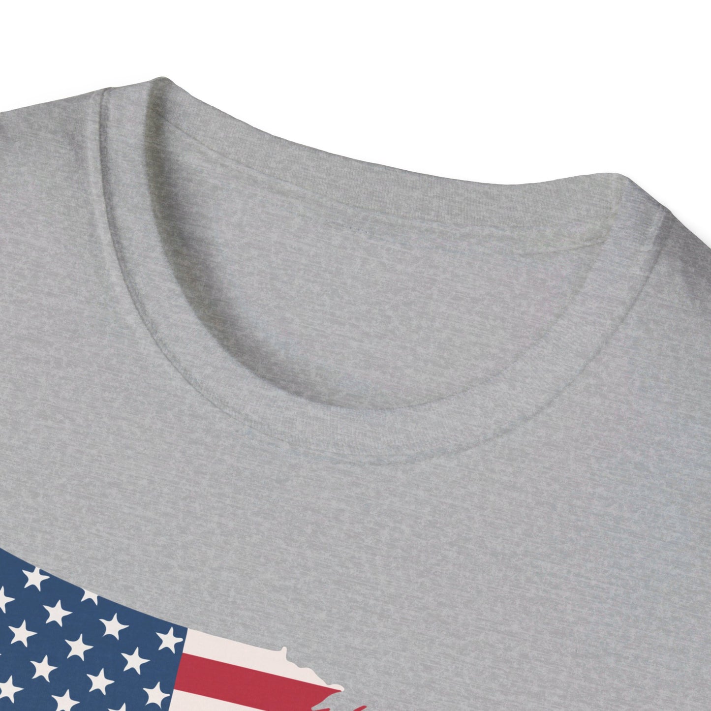 Softstyle United States Flag T-Shirt