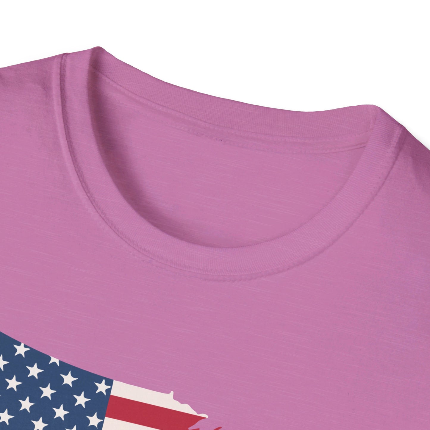 Softstyle United States Flag T-Shirt