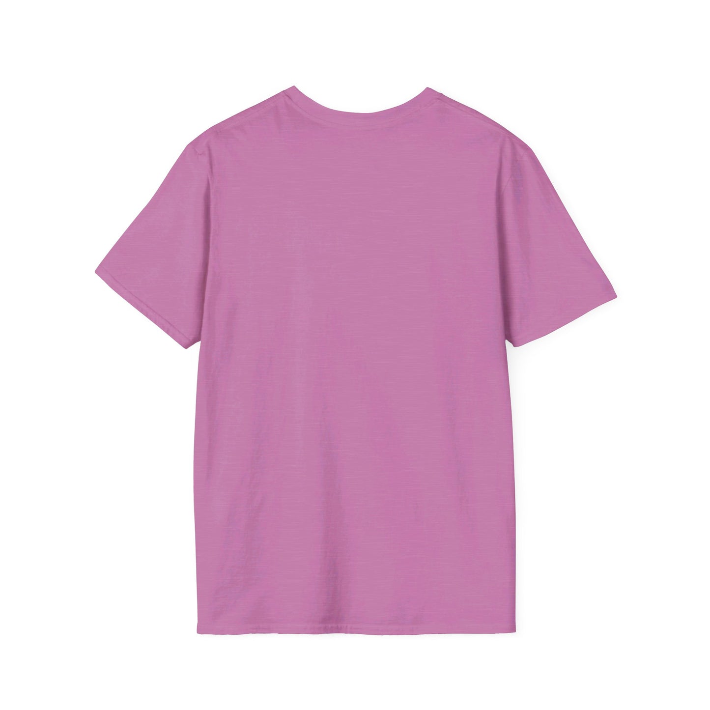Softstyle United States Flag T-Shirt
