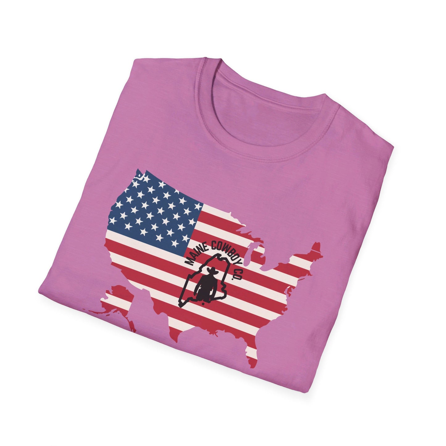 Softstyle United States Flag T-Shirt