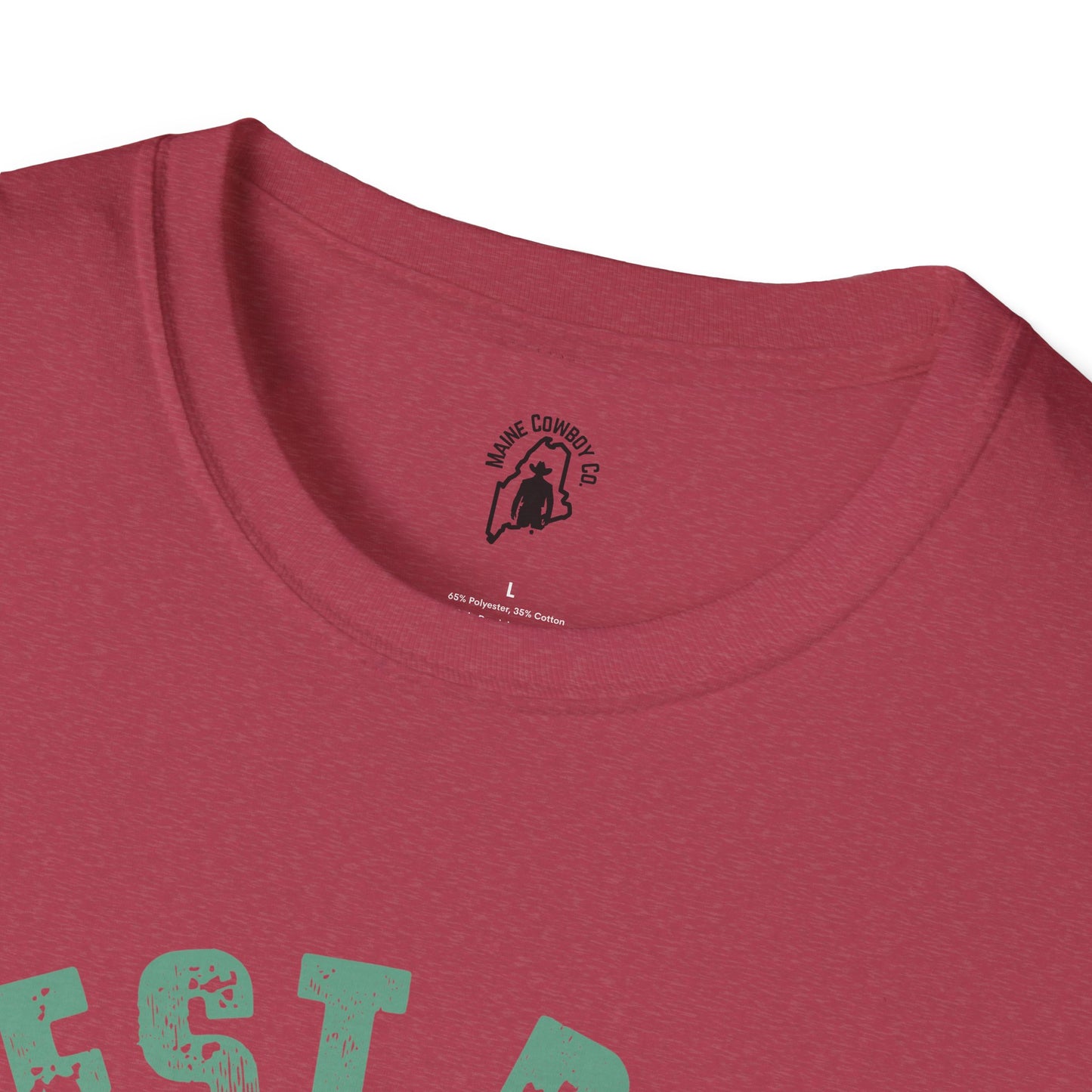 Softstyle Dad And Kid T-Shirt