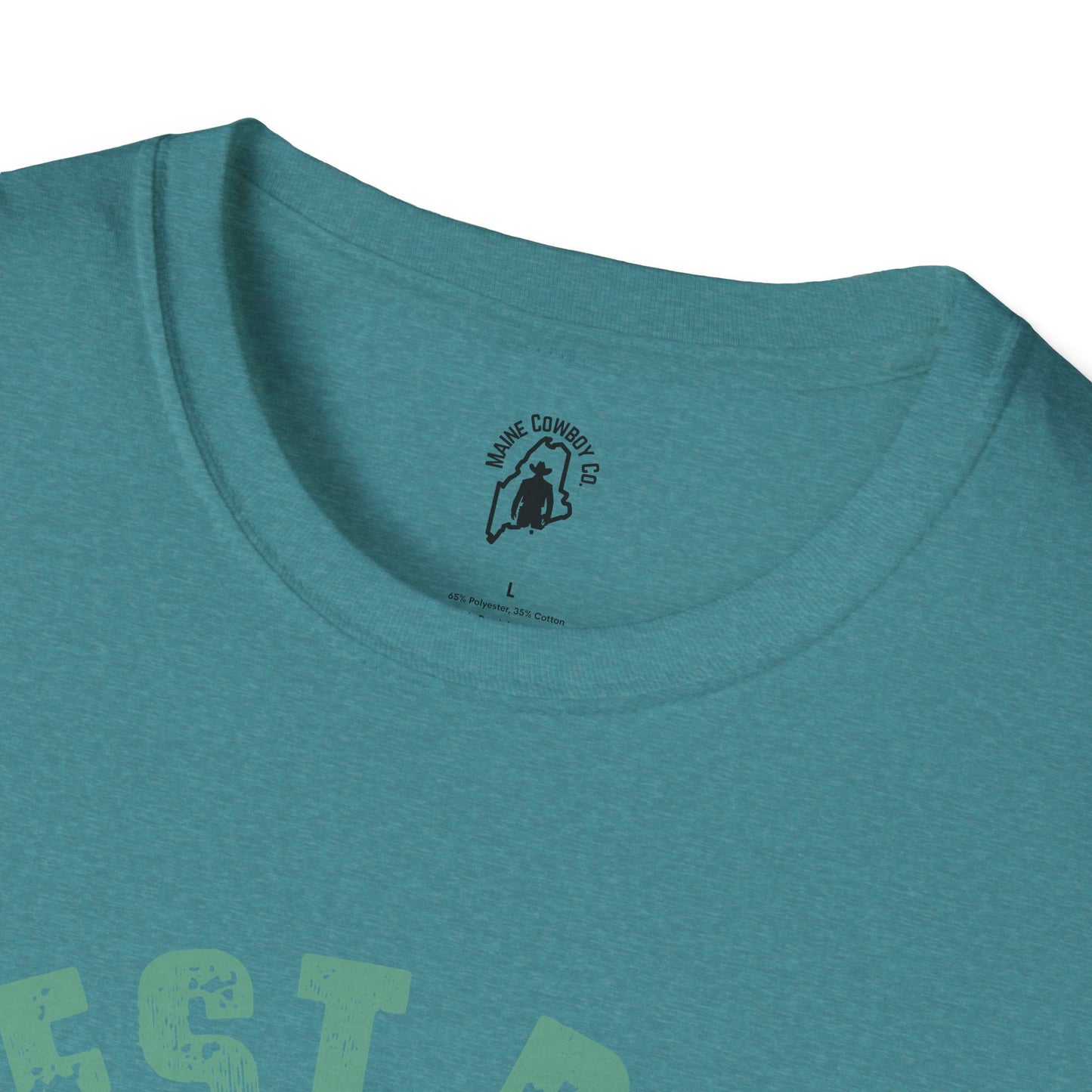 Softstyle Dad And Kid T-Shirt