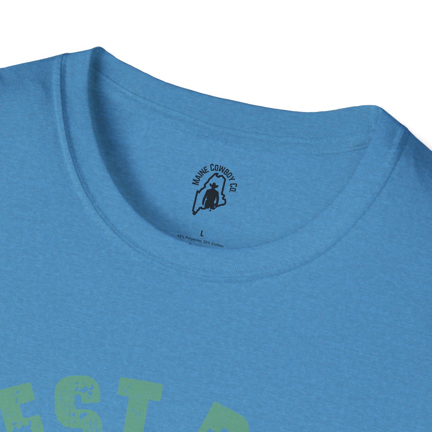 Softstyle Dad And Kid T-Shirt