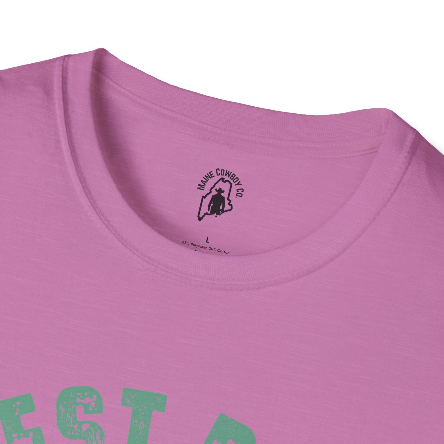 Softstyle Dad And Kid T-Shirt